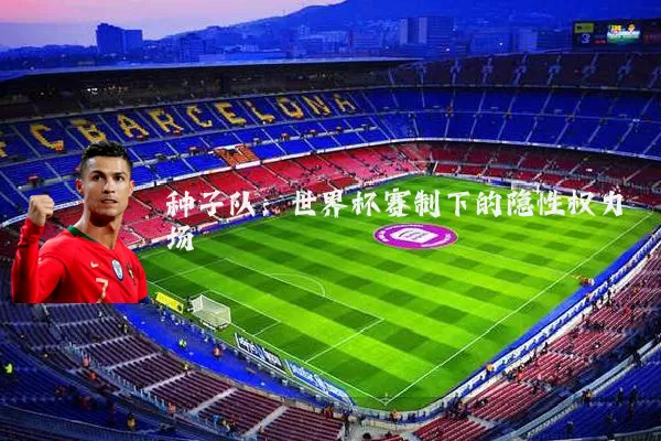 种子队：世界杯赛制下的隐性权力场